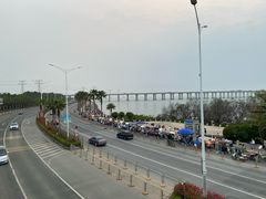 -宝安西湾红树林湿地公园