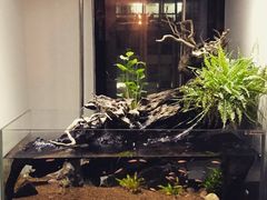 -Together·泰式按摩精油SPA(天山店)