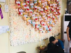 用餐区-柴犬高等学院·狗咖·柴犬售卖·宠物训练