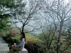 -青岛崂山太清宫