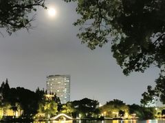 -月湖公园