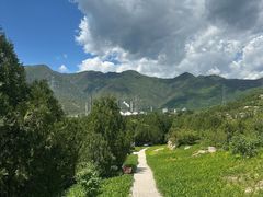 -白水寺森林公园