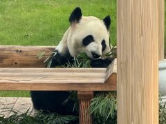 -无锡动物园·太湖欢乐园
