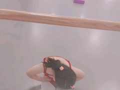 -西安小天鹅艺术团(金花路校区)