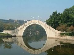 -金砂公园