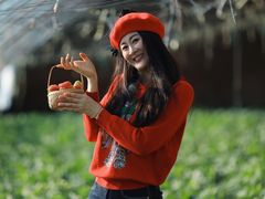 -昌平兴寿秀秀草莓采摘园