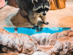 -顺德南宏海立方海洋公园