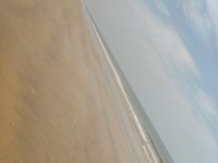 -日照海滨国家森林公园