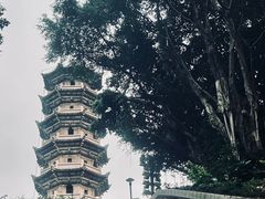 -郑和公园