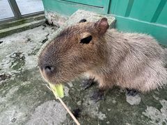 -成都欢乐谷