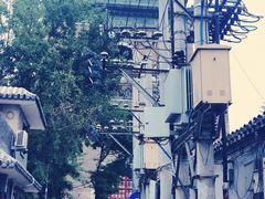 -椰子下蛋(南锣鼓巷店)