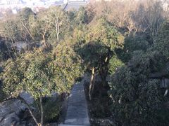 -赭山公园