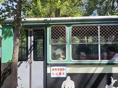 -秦皇岛野生动物园