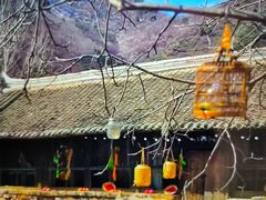 -北京山里寒舍度假酒店