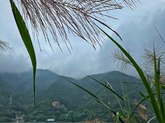 -严子陵钓台(富春江小三峡)