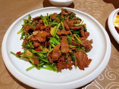 小炒黄牛肉-凤凰小镇·徐州特色菜(凤凰岭店)