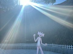 -金龙寺国家森林公园