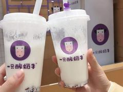 -一只酸奶牛(八一路店)