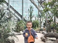 -南山植物园