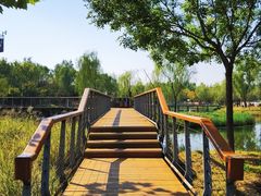 -东郊湿地公园