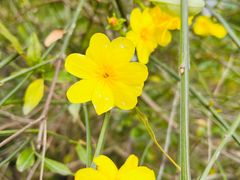 -重庆中央公园(渝北区)