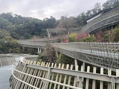 -福道