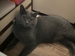 -美联众合动物医院·24h转诊中心