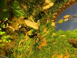 -酷嗒动物文化乐园(cutezoo西溪乐天城店)