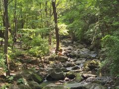-香炉山国家森林公园
