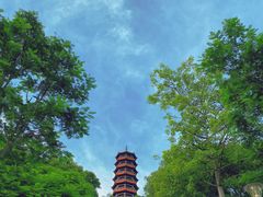 -红花山公园