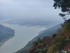 -铁山坪森林公园