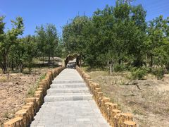 -白水寺森林公园