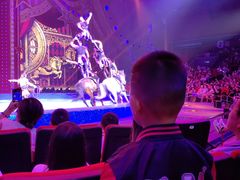 -珠海横琴长隆《卡卡虎奇遇记》