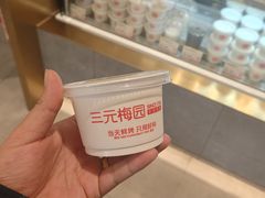 -三元梅园(团结湖店)