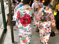 -四条大桥