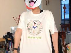 -Husky Go! 哈士奇体验馆·宠物咖啡厅狗咖