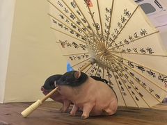 -春家·非遗手工小吃(徐汇万科广场店)