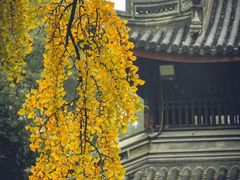 -惠山古镇·寄畅园