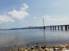 -深圳湾公园(南山区)