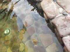 -海德温泉酒店