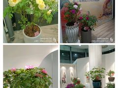 -上海辰山植物园