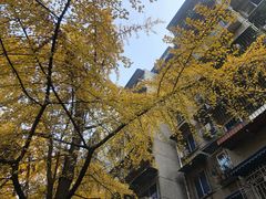 -四川大学(望江校区)
