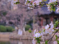 -莫愁湖公园