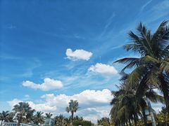 -西秀海滩公园