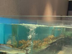 -许家菜.艺创菜(仁和新城店)