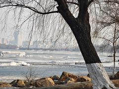 -长春市南湖公园