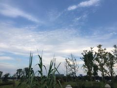 -艾溪湖湿地公园