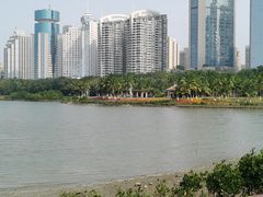 -万绿园
