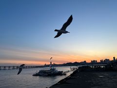 -星海广场