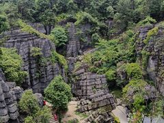 -梭布垭石林景区